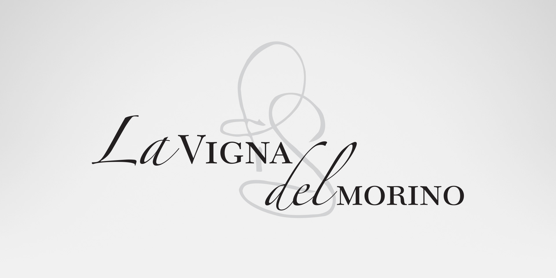 La Vigna del Morino
